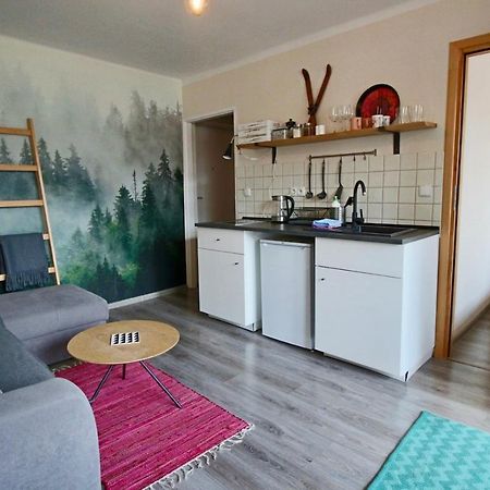 扎科帕内Apartament Bazatatry Sloneczny II公寓 外观 照片