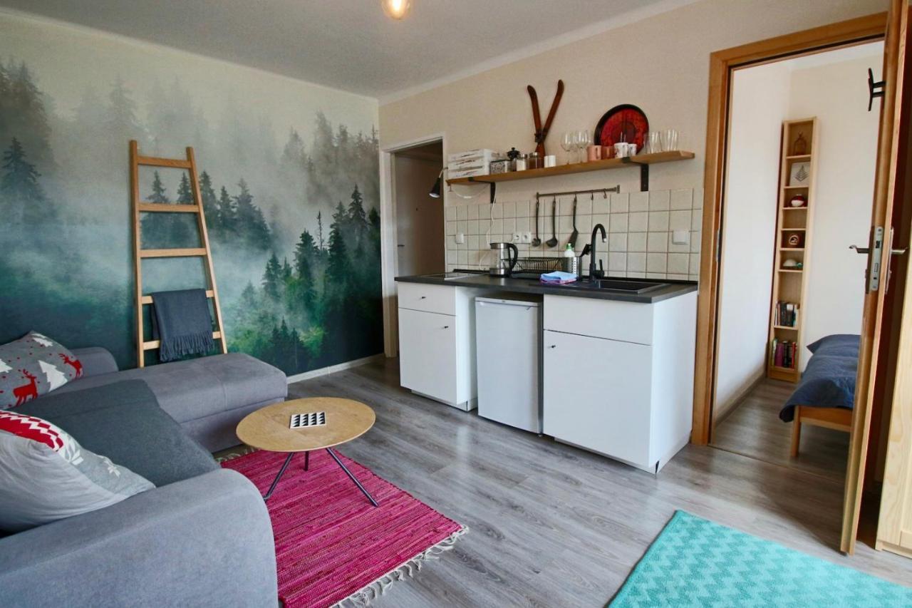 扎科帕内Apartament Bazatatry Sloneczny II公寓 外观 照片