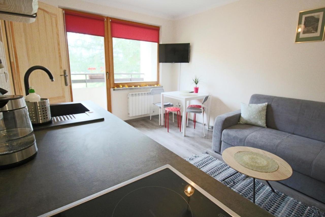 扎科帕内Apartament Bazatatry Sloneczny II公寓 外观 照片